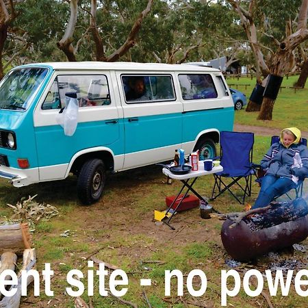 Bimbi Park - Camping Under Koalas Cape Otway Buitenkant foto