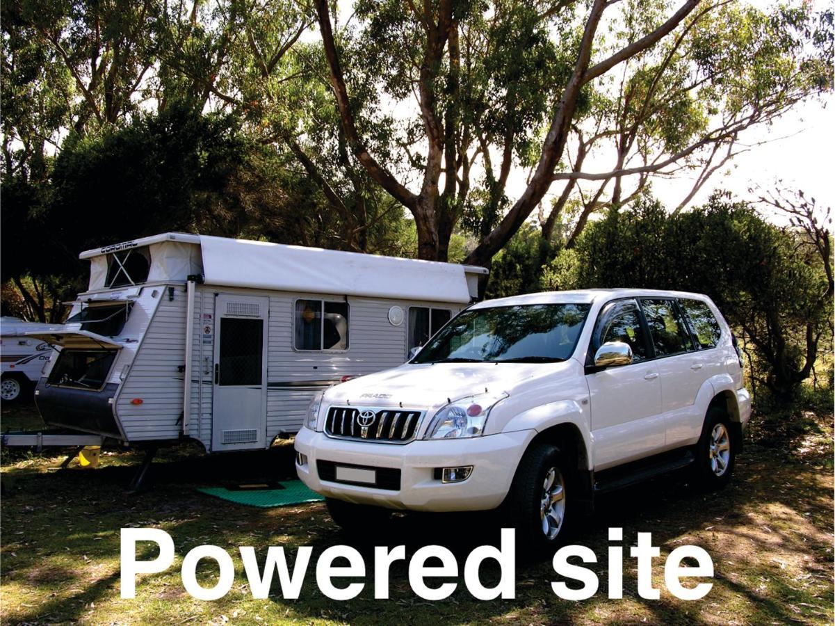 Bimbi Park - Camping Under Koalas Cape Otway Buitenkant foto