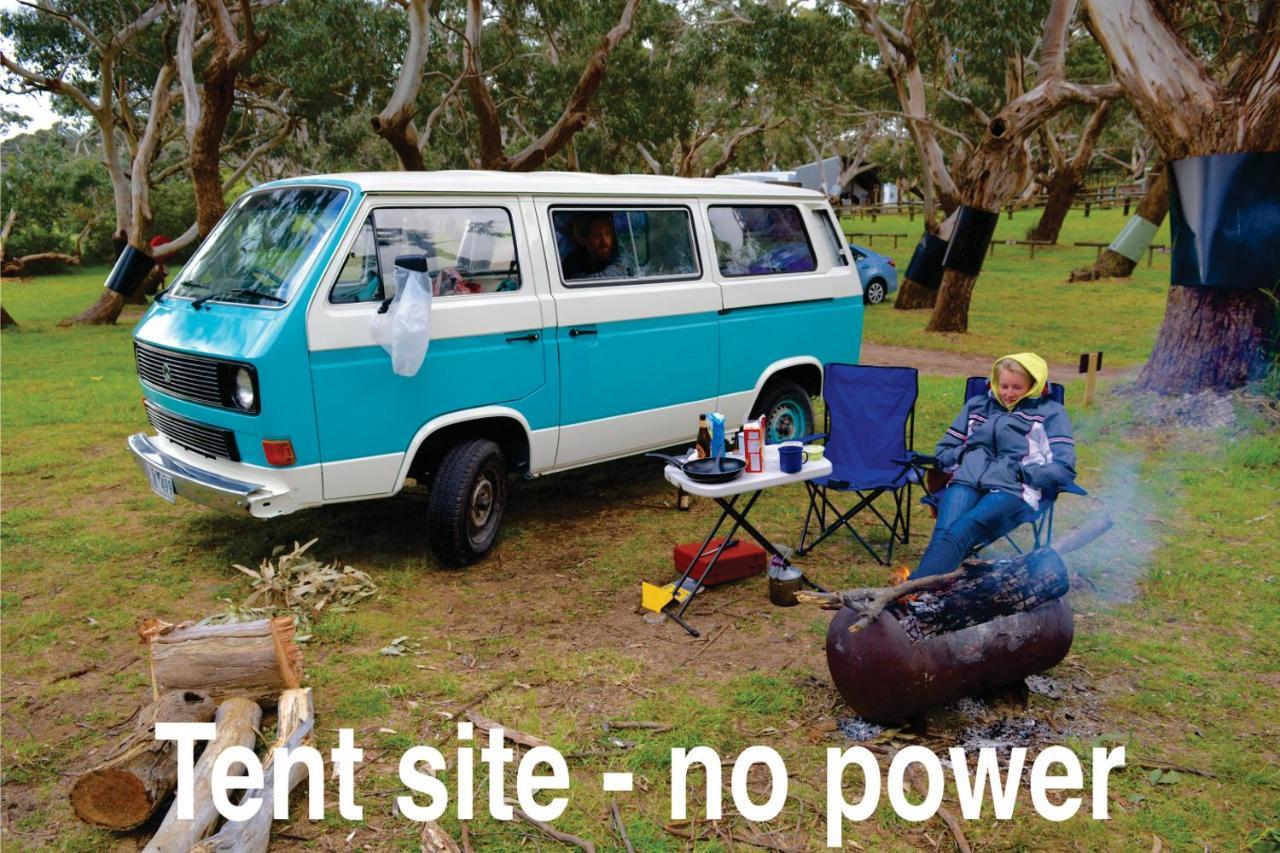 Bimbi Park - Camping Under Koalas Cape Otway Buitenkant foto