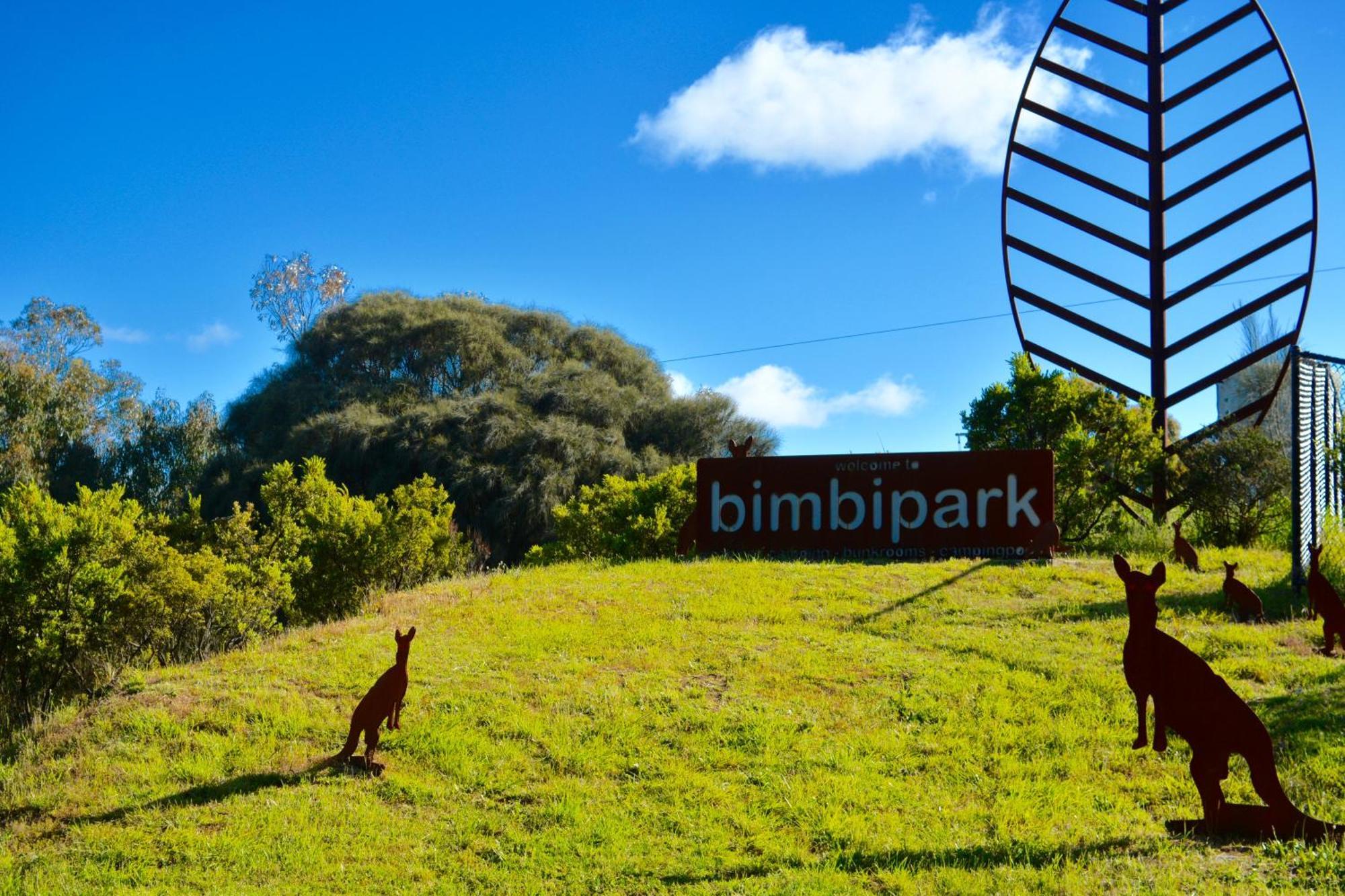 Bimbi Park - Camping Under Koalas Cape Otway Buitenkant foto