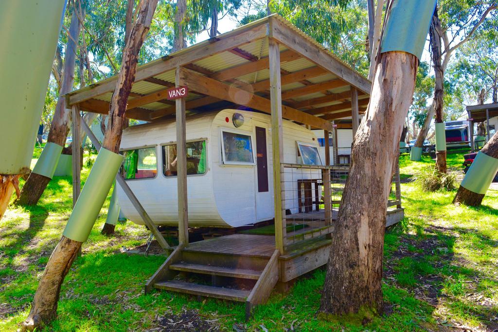 Bimbi Park - Camping Under Koalas Cape Otway Buitenkant foto