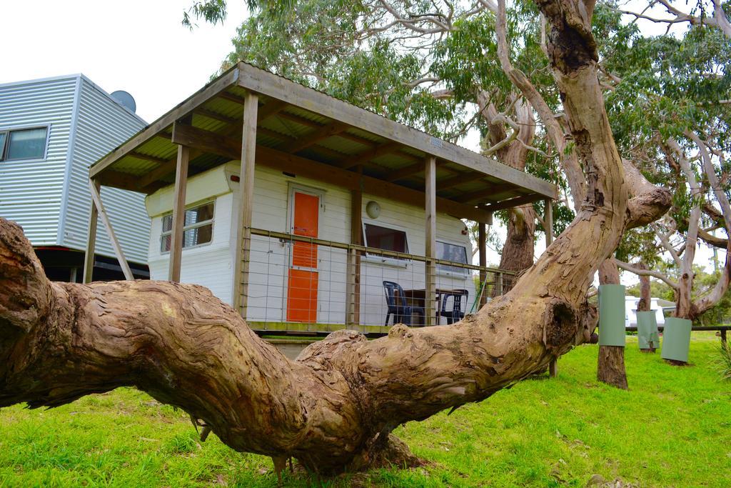 Bimbi Park - Camping Under Koalas Cape Otway Buitenkant foto
