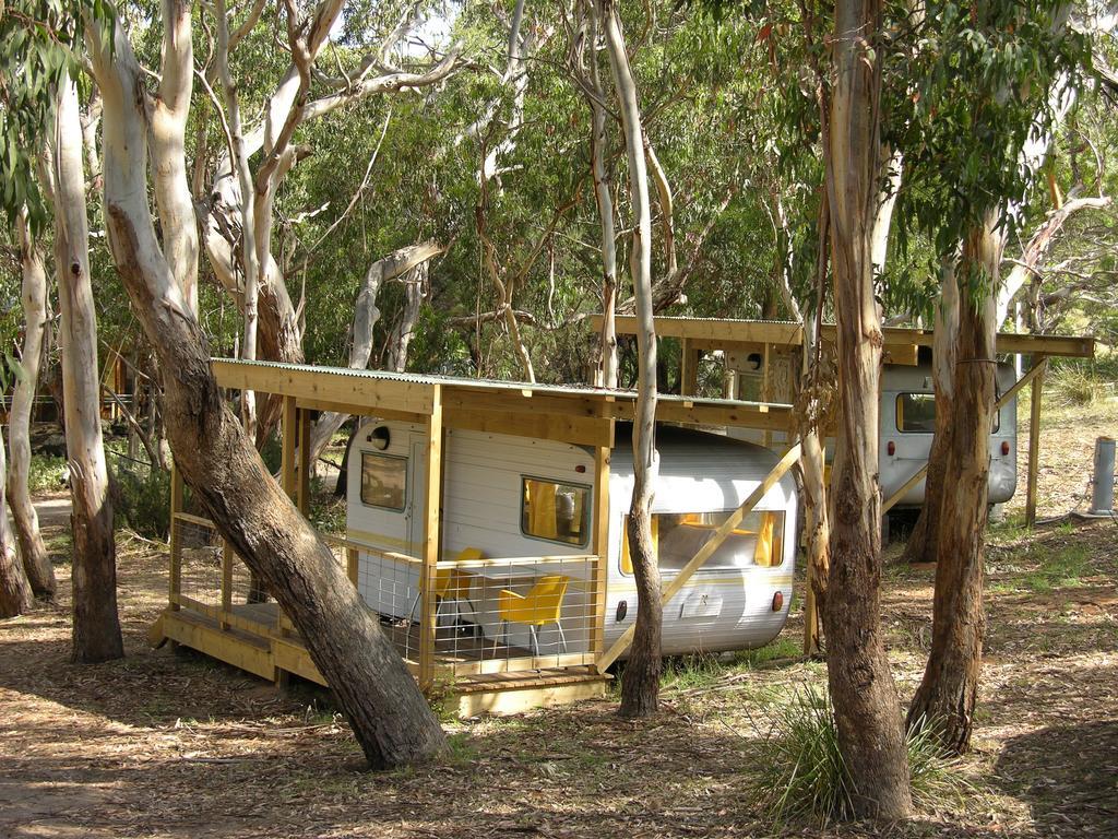 Bimbi Park - Camping Under Koalas Cape Otway Buitenkant foto