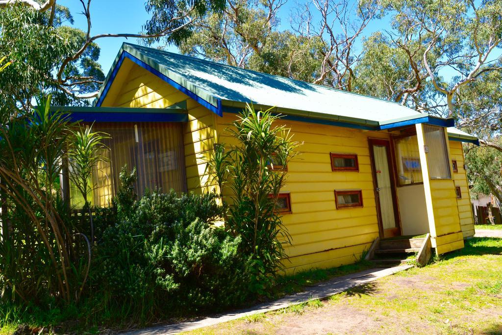 Bimbi Park - Camping Under Koalas Cape Otway Buitenkant foto