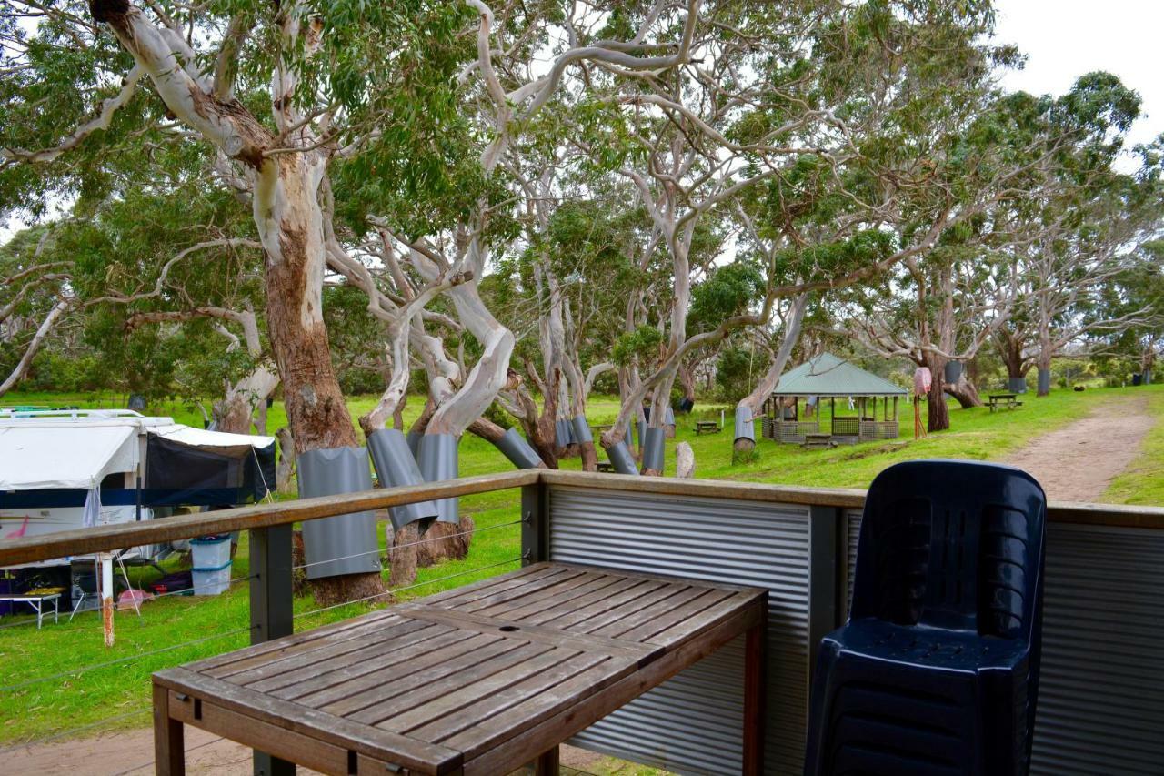 Bimbi Park - Camping Under Koalas Cape Otway Buitenkant foto
